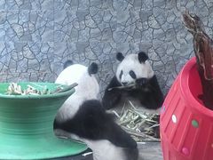 -西安秦岭野生动物园