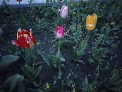 -长春公园(普阳街道)