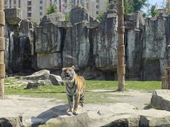 -上海野生动物园