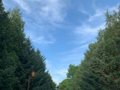 -长春市南湖公园