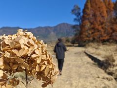 -塔川景区
