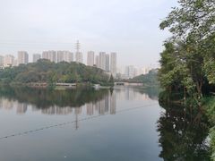 -重庆彩云湖湿地公园