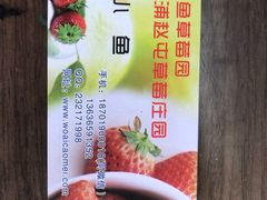 -小鱼草莓采摘园农家乐·小鱼餐厅