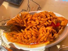 -小吴先生的店·东北烧烤(林科大店)