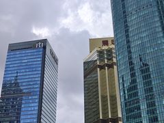 -金轩中餐厅 Jin Xuan(浦东丽思卡尔顿酒店)