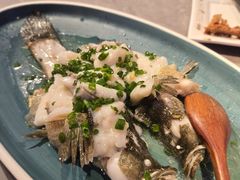 葱油淋鲈鱼-啫神·广州地标美食(北京路店)