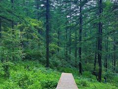 -驼梁风景区