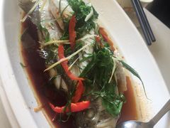 -港式金翠茶餐厅