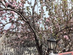 -张家大院·鲁菜·私房菜(芙蓉街店)
