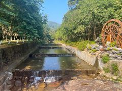 -广州白江湖森林公园