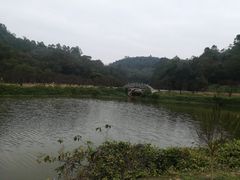 -南国桃园旅游度假区