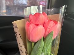 -循礼门鲜花花市(武汉循礼门店)