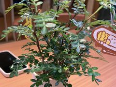 -CURRY YA 熟成咖哩專門店(深圳湾万象城店)
