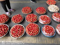 -西郊国际农产品交易中心