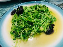 -赵记煎饼卷大葱(东岳店)