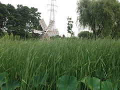 iphone_upload_pic-昆山城市生态森林公园