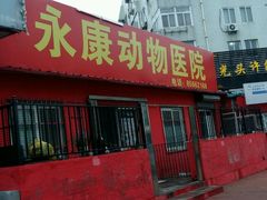-永康动物医院