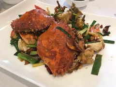 -欢乐海岸美食联盟