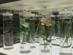 -北京中医药大学-中医药博物馆