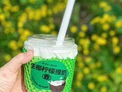 -书亦烧仙草(凯升广场店)