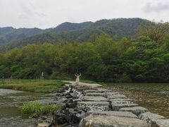 -大九湖