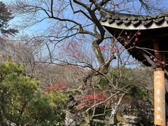-杭州植物园