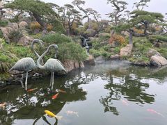 -罗红摄影艺术馆