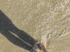 -西涌国际滨海旅游区