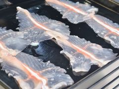 -京门活鱼馆·鱼火锅(百子湾（原红庙）店)