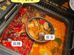 -老牌坊云南鱼豆花火锅(爱建店)