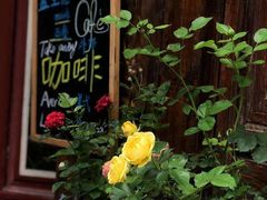 门面-蓝壁虎咖啡酒馆