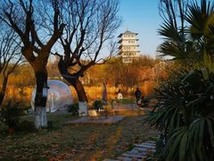 -Supine Bistro溯泮餐厅