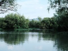 -西溪国家湿地公园