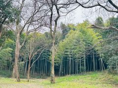 -采石矶景区