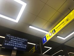 -谢列梅捷沃国际机场