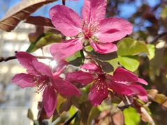 -皇城根遗址公园-东安门遗址