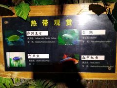-蓬莱欧乐堡海洋极地世界