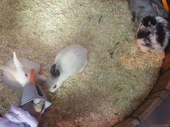 -正佳雨林生态植物园