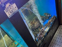 -鲜味食族水产·海鲜餐厅