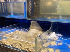 -喜庭海鲜自助(佛山王府井店)