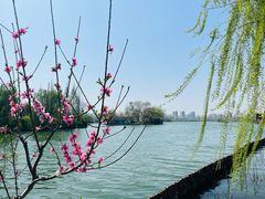 -济南大明湖景区