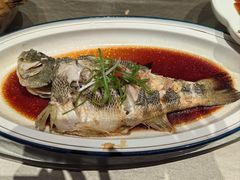 -宏宴·新京菜(望京店)