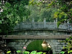 -莲湖公园