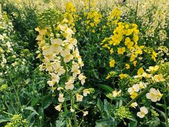 -中国天府农业博览园