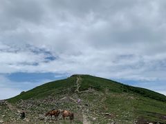-灵山