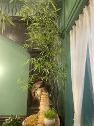 -海文先生国潮烫染男士理发馆