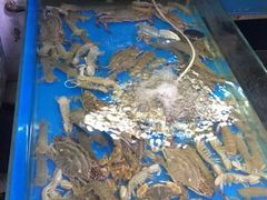 -晓琦农家菜馆·地道农家菜