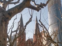 -徐家汇天主堂