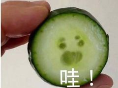 -魏家凉皮(梨园店)