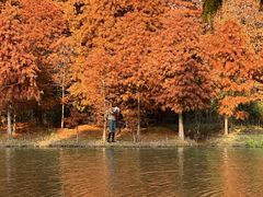 -上海海湾国家森林公园